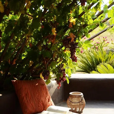 Zubebi Üdülőközpont Campobello