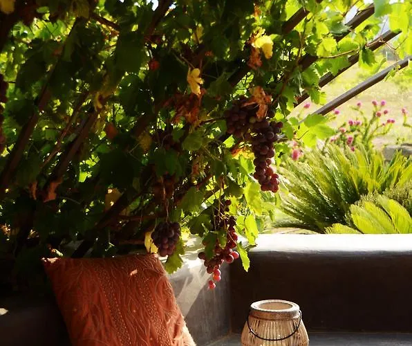 Zubebi Rezort Campobello